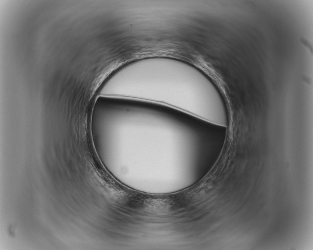 X0000101410107200807071016