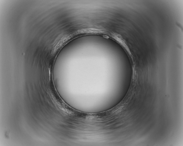 X0000101410109200807071016