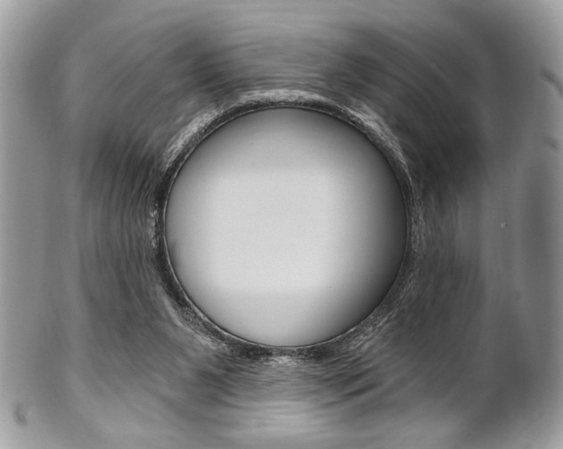 X0000101410111200807071016