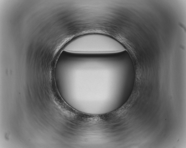 X0000101410112200807071016