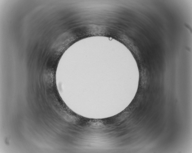 X0000101410113200807071016