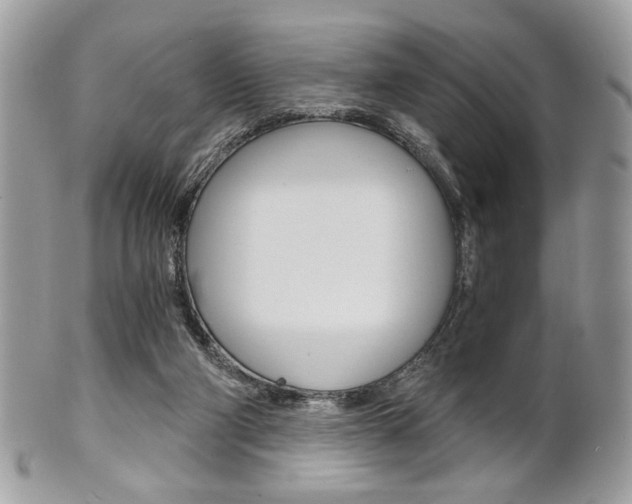 X0000101410114200807071016