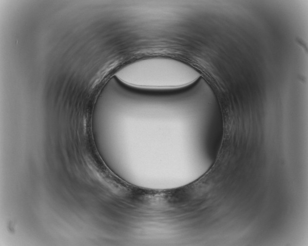 X0000101410120200807071016