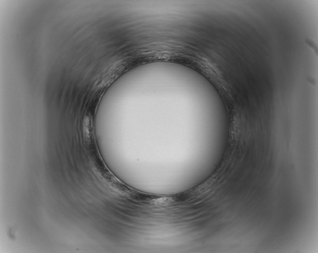 X0000101410122200807071015