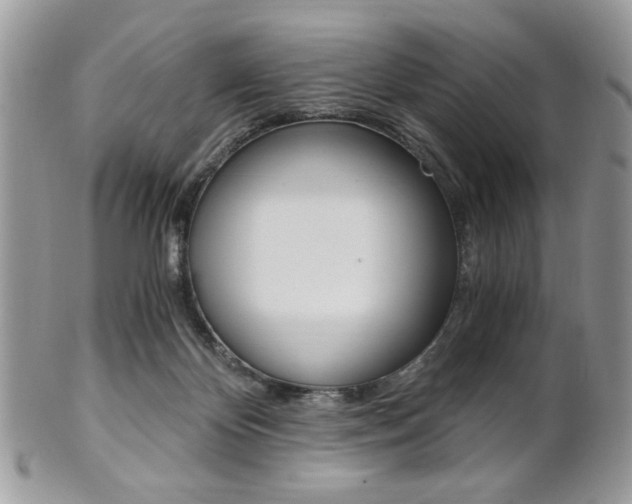 X0000101410124200807071015