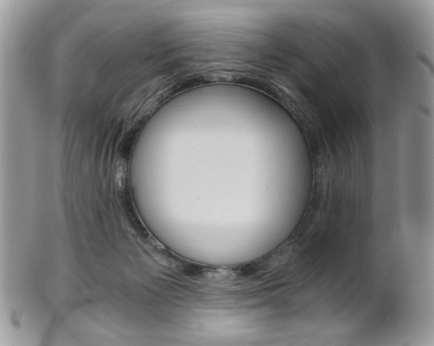 X0000101410125200807071015