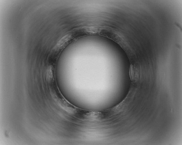 X0000101410128200807071015