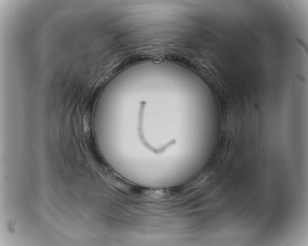 X0000101410131200807071015