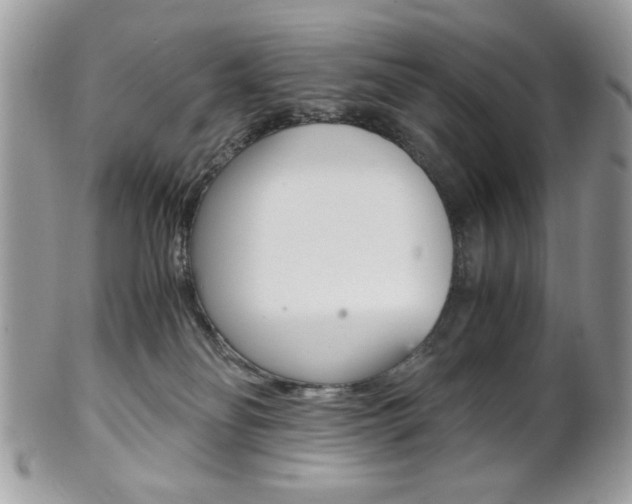 X0000101410134200807071015