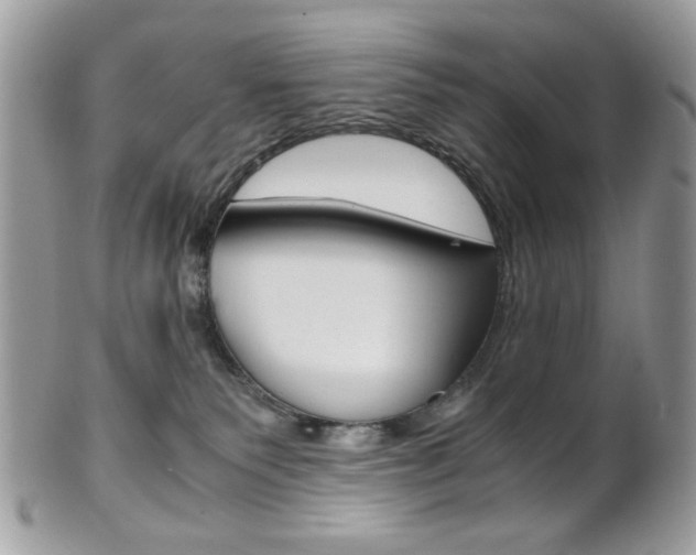 X0000101410135200807071015
