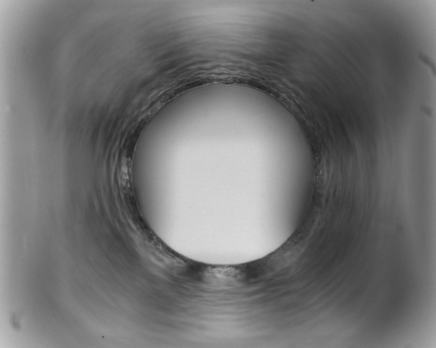 X0000101410137200807071015