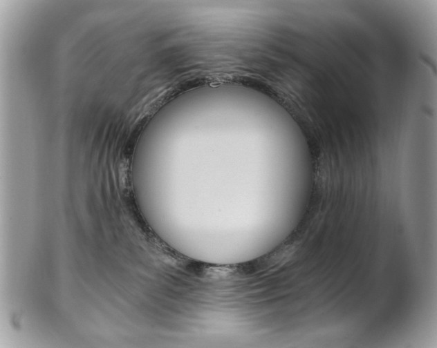 X0000101410139200807071015