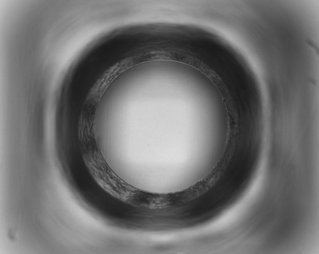 X0000101410143200807071015