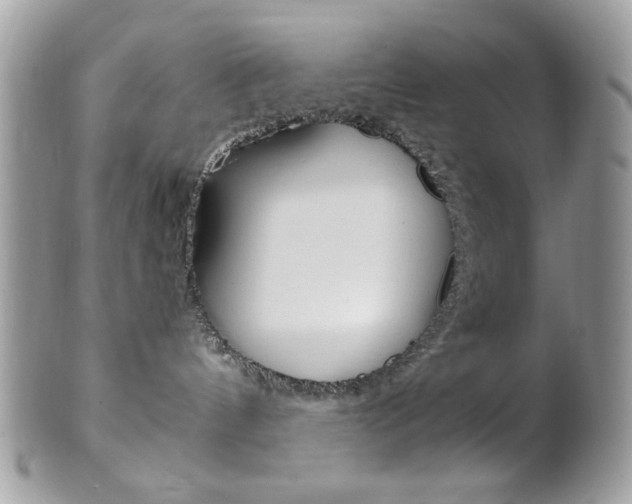 X0000101410144200807071015
