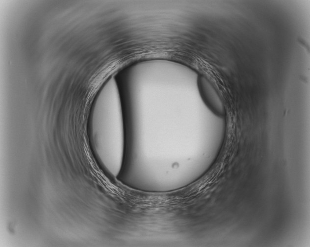 X0000101410145200807071015
