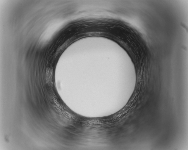 X0000101410146200807071015