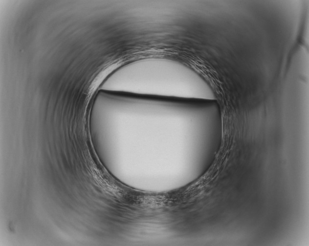 X0000101410147200807071015
