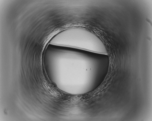 X0000101410148200807071015