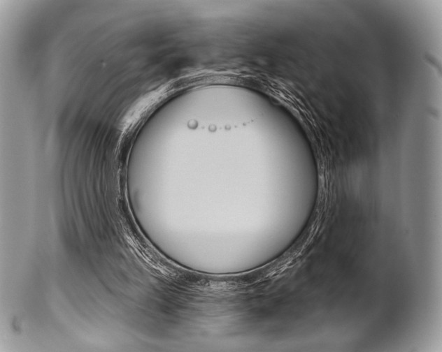 X0000101410149200807071015