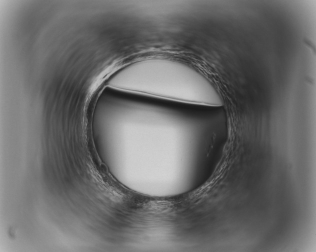 X0000101410150200807071015