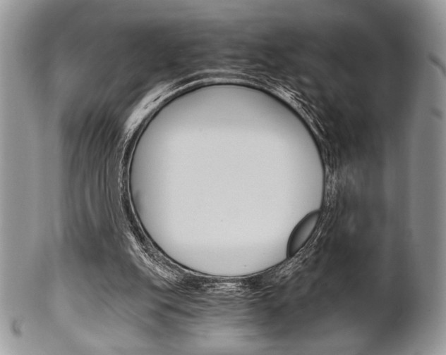 X0000101410151200807071015