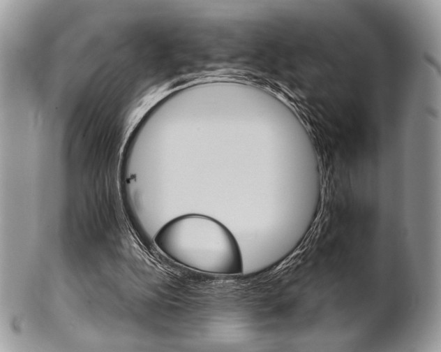 X0000101410152200807071015