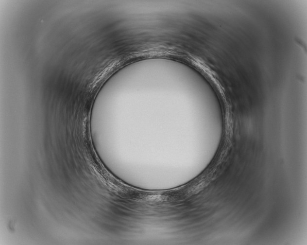 X0000101410153200807071015