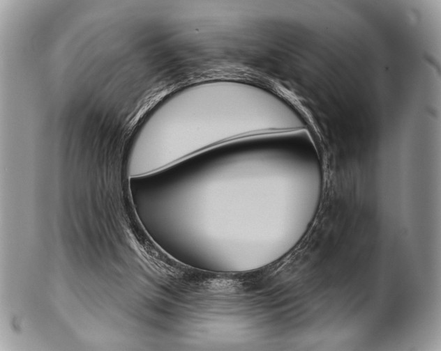 X0000101410154200807071015
