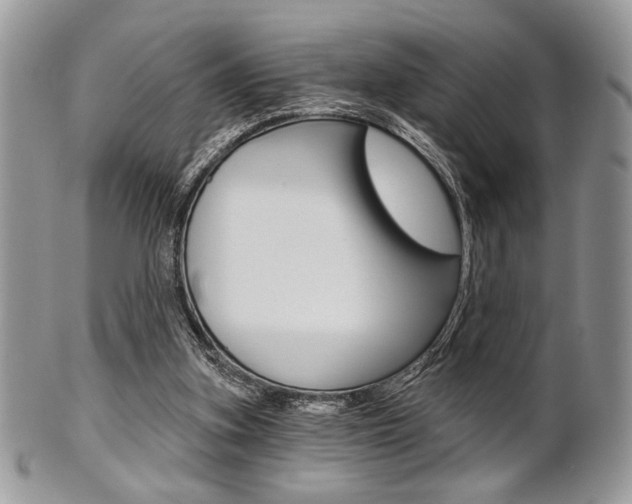 X0000101410155200807071015