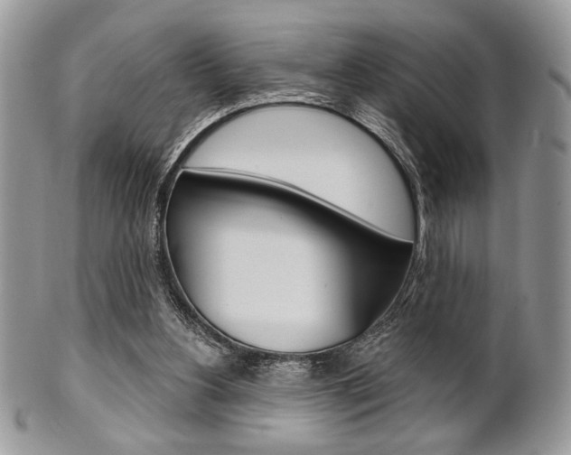 X0000101410156200807071015