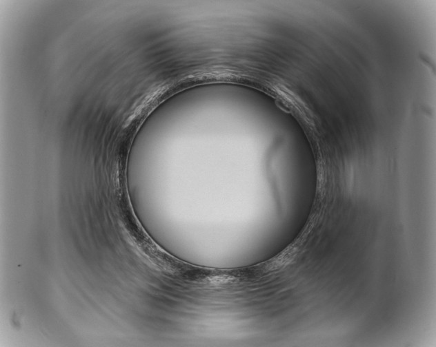 X0000101410158200807071015