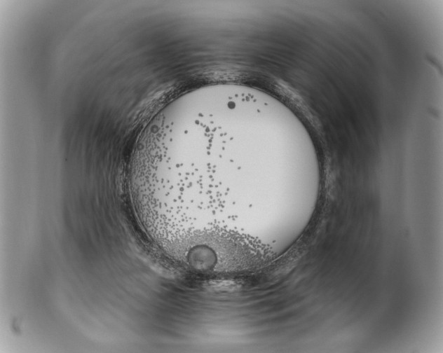 X0000101410161200807071015