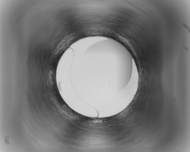 X0000101410162200807071015