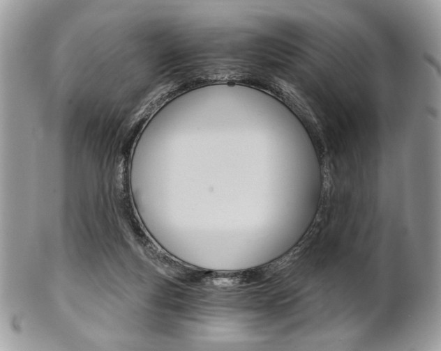 X0000101410163200807071015