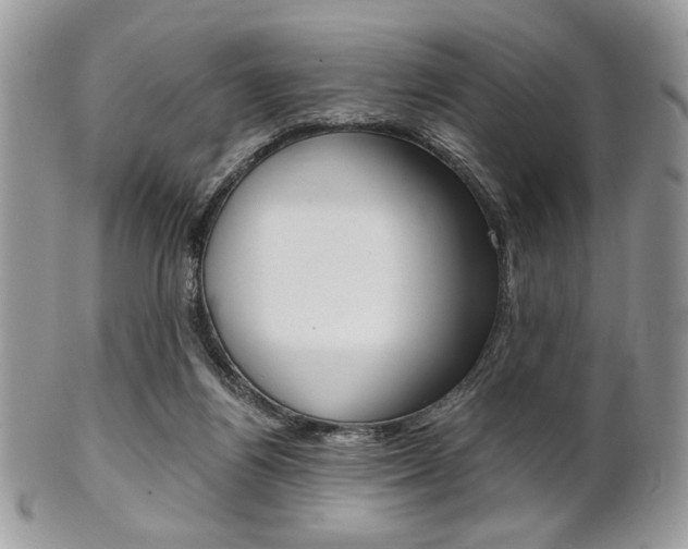 X0000101410164200807071015