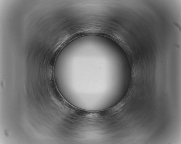 X0000101410168200807071015