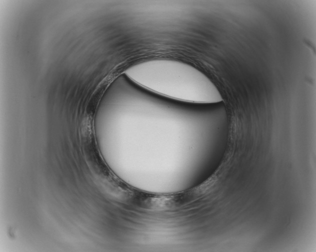 X0000101410172200807071015