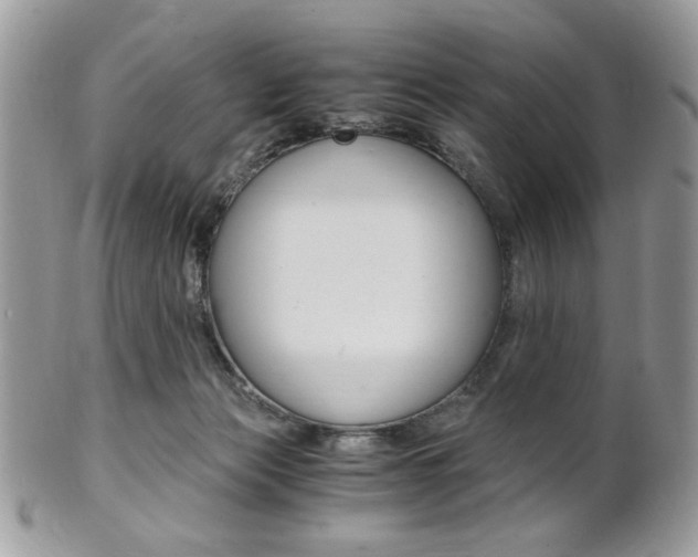 X0000101410173200807071015