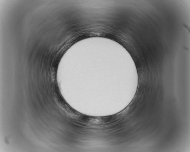 X0000101410174200807071015