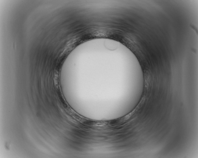 X0000101410175200807071015