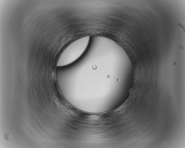 X0000101410176200807071015