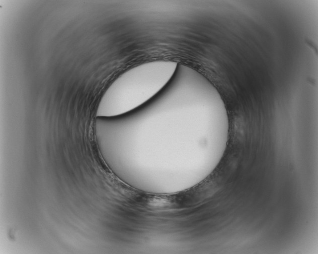 X0000101410177200807071015