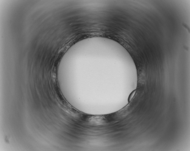 X0000101410179200807071015