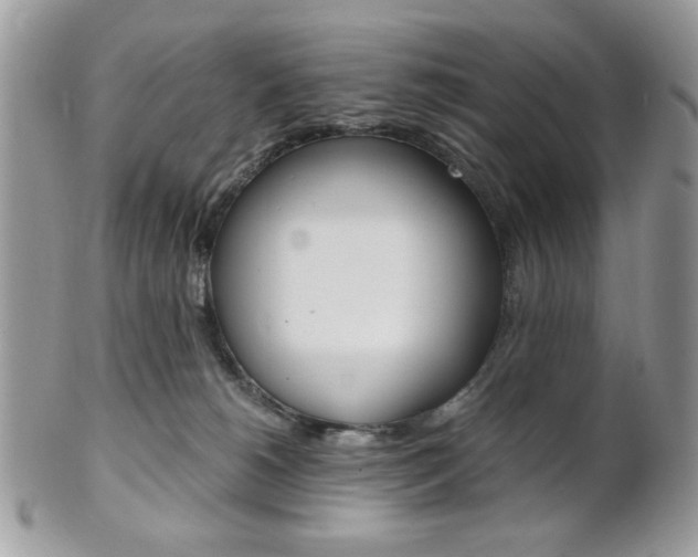 X0000101410180200807071015