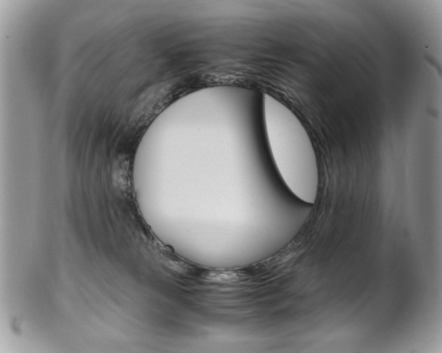 X0000101410181200807071015