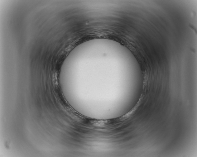 X0000101410182200807071015
