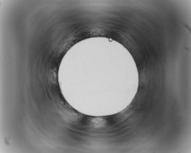 X0000101410183200807071015