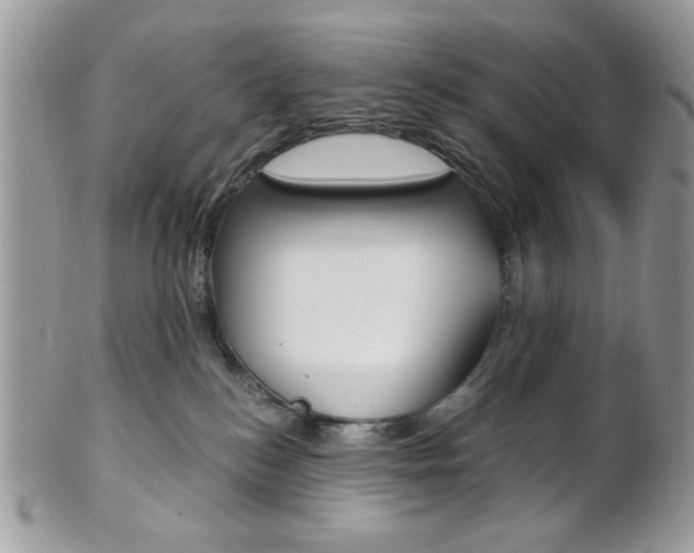 X0000101410184200807071015