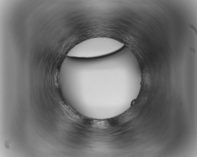 X0000101410185200807071015