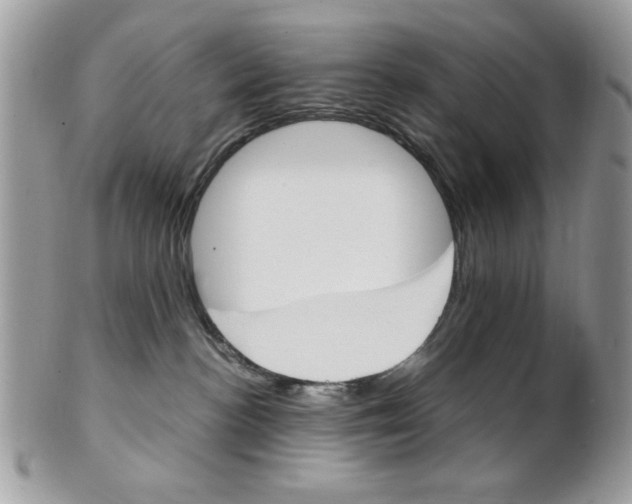 X0000101410188200807071015